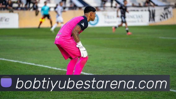 BOB体育平台生态图